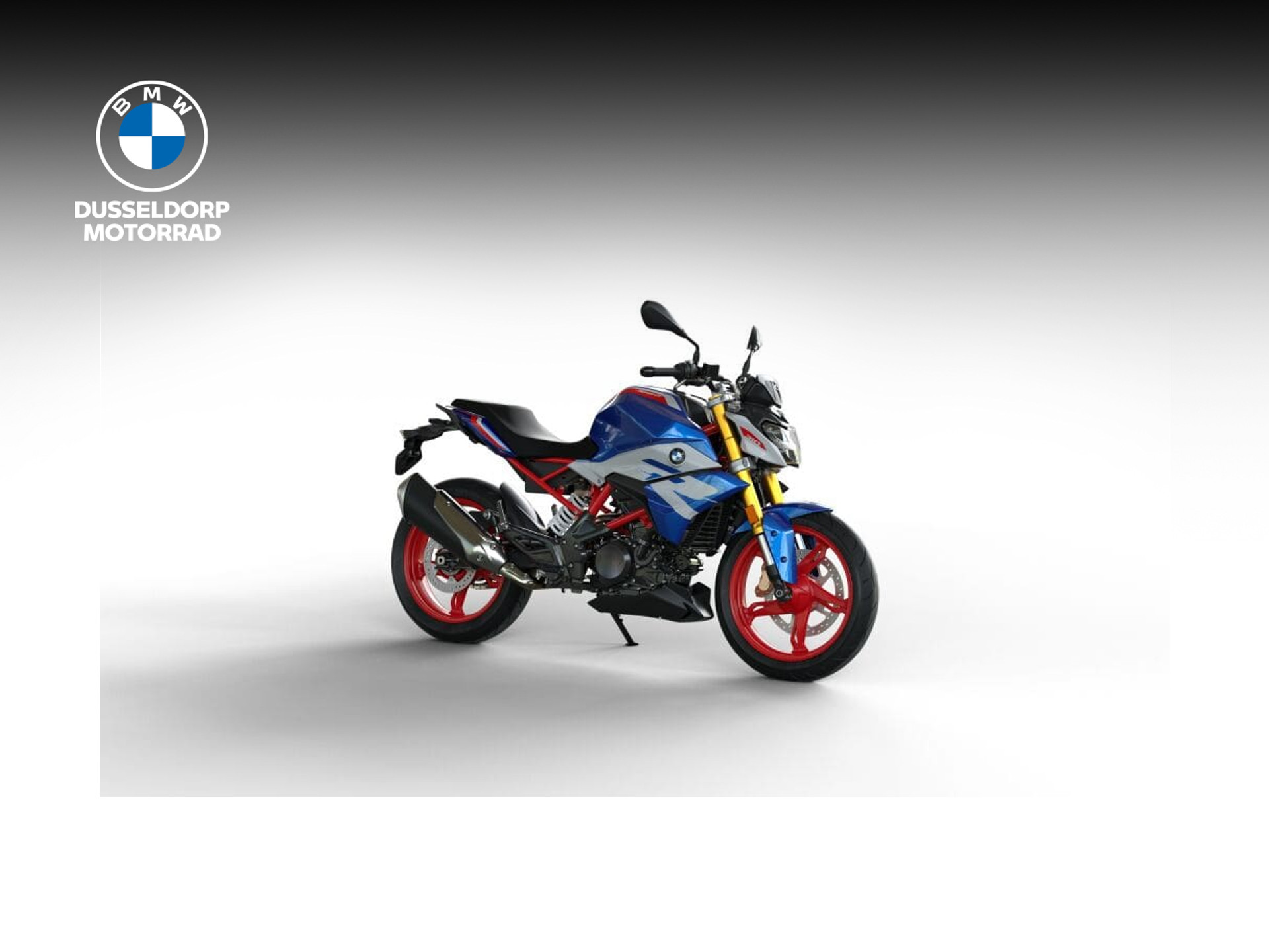 BMW G 310 R